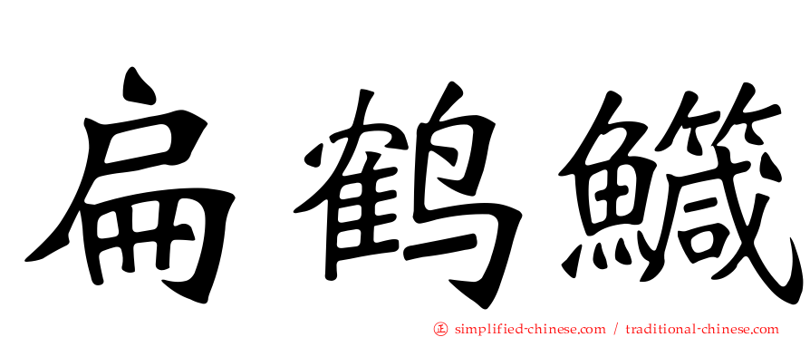 扁鹤鱵