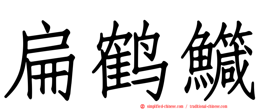 扁鹤鱵
