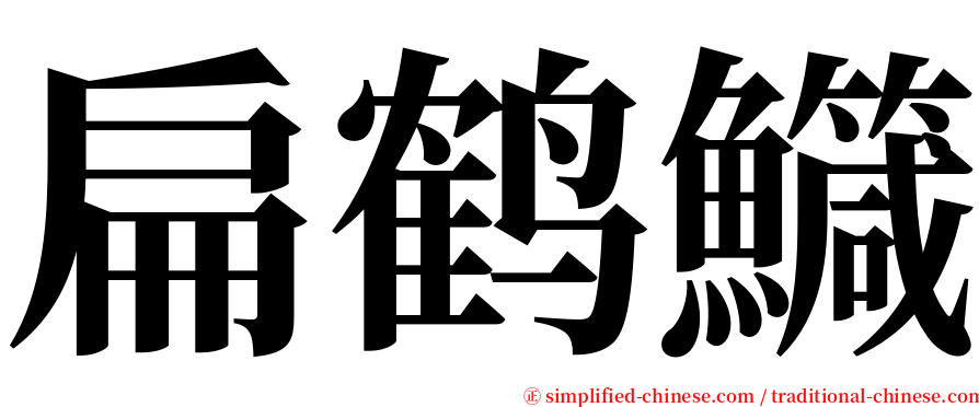 扁鹤鱵 serif font