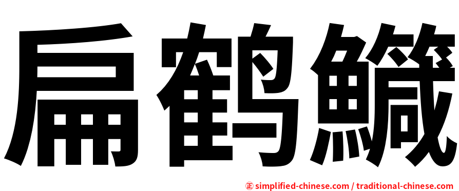 扁鹤鱵