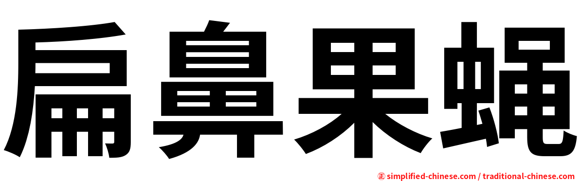 扁鼻果蝇