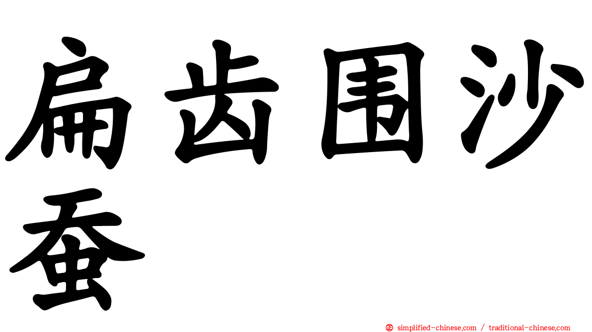 扁齿围沙蚕