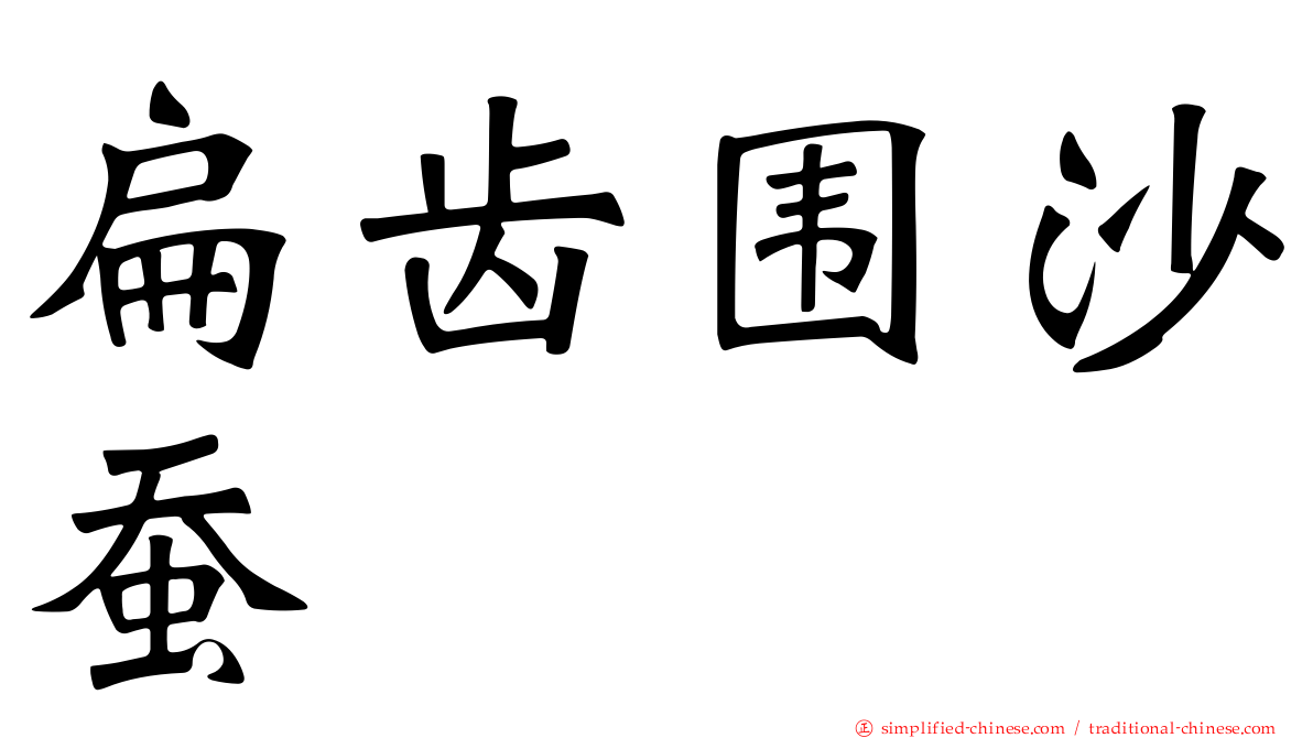 扁齿围沙蚕