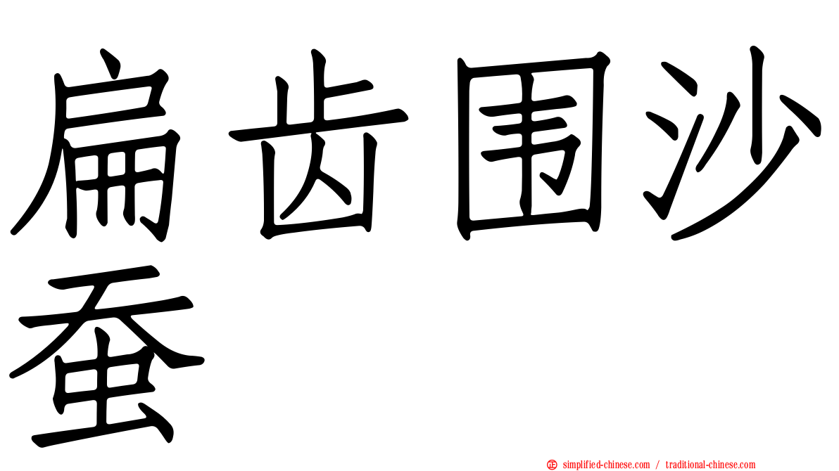 扁齿围沙蚕