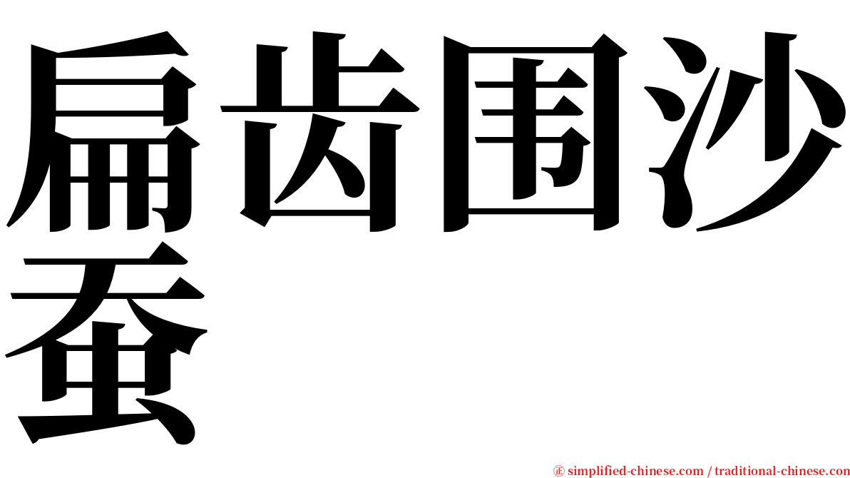 扁齿围沙蚕 serif font