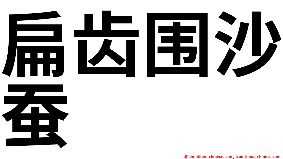 扁齿围沙蚕