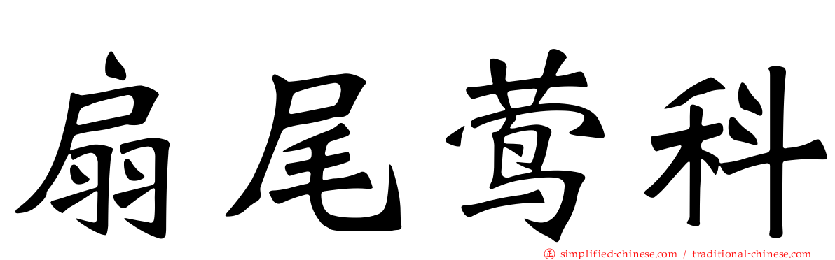 扇尾莺科