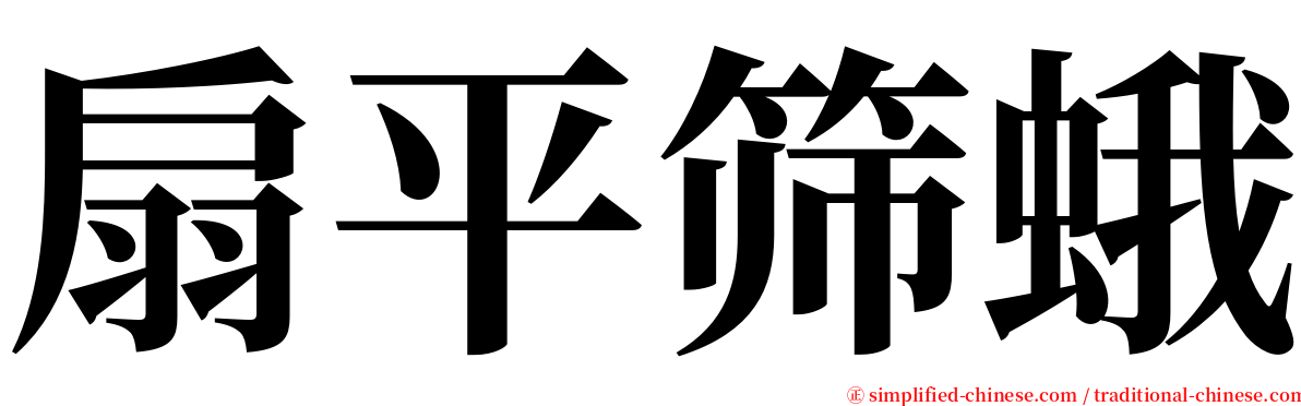 扇平筛蛾 serif font