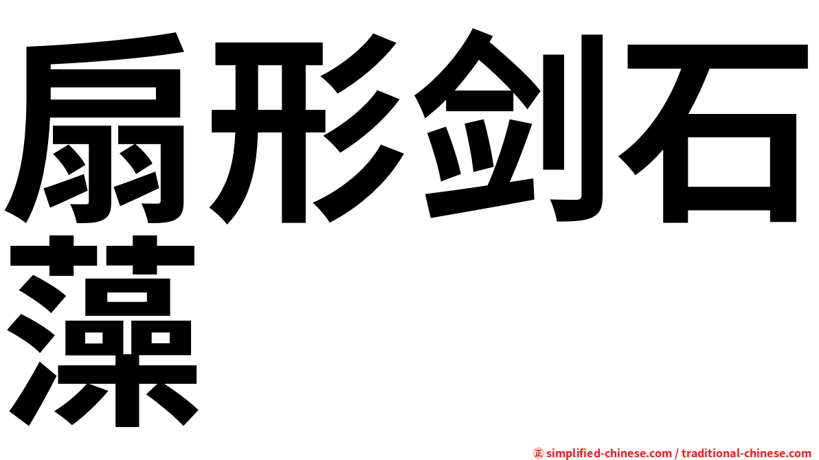 扇形剑石藻