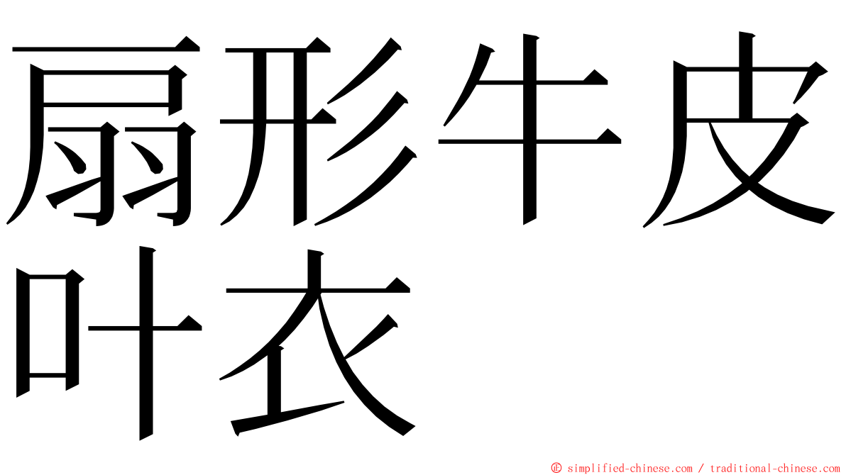 扇形牛皮叶衣 ming font