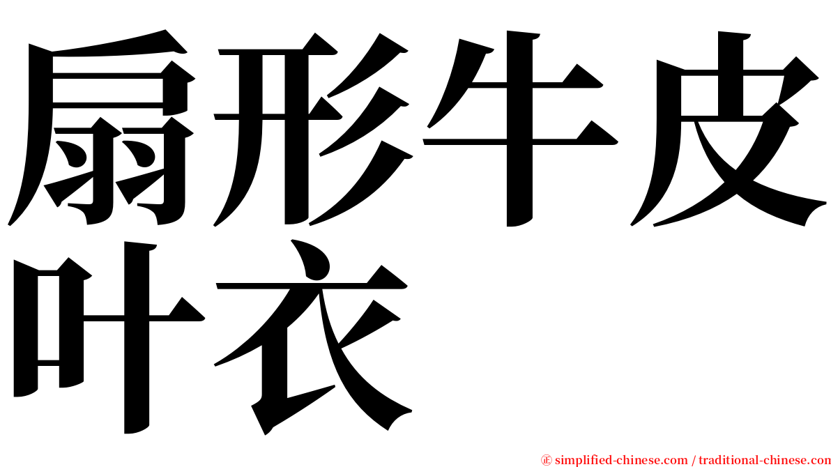 扇形牛皮叶衣 serif font