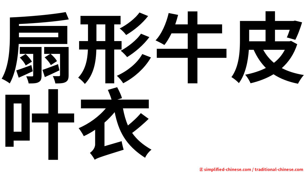 扇形牛皮叶衣