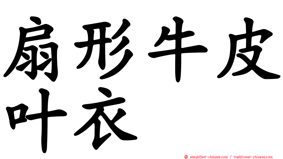 扇形牛皮叶衣