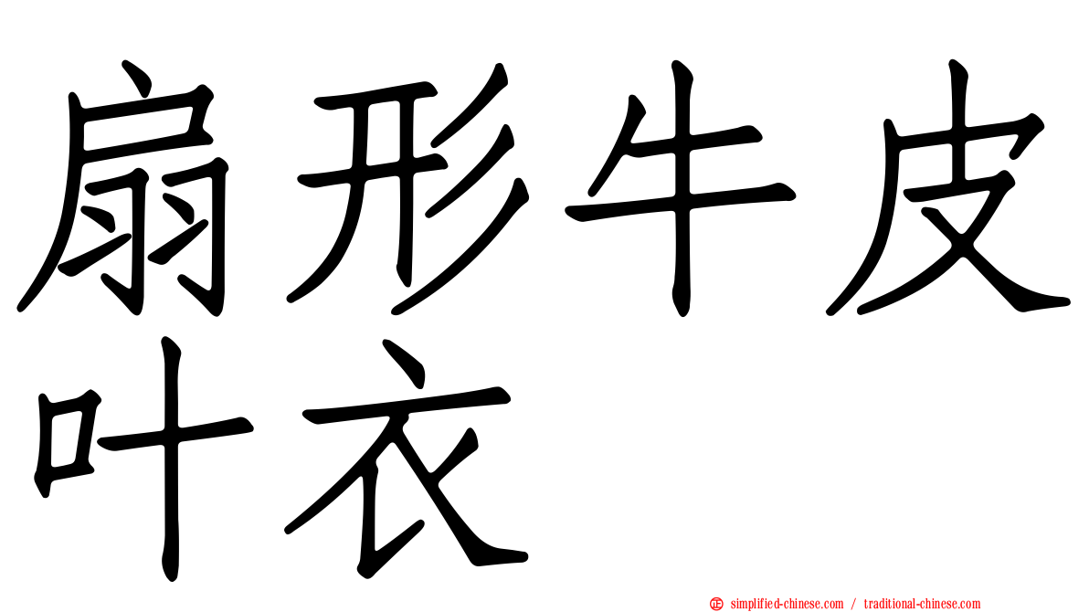 扇形牛皮叶衣