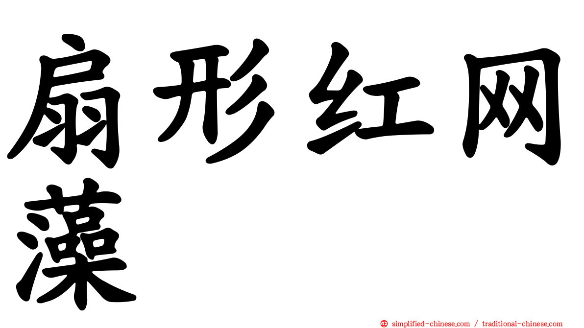 扇形红网藻