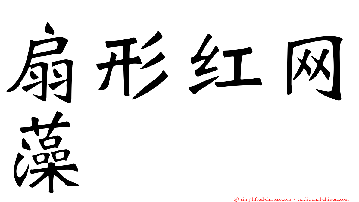 扇形红网藻