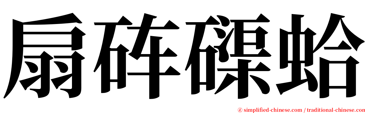 扇砗磲蛤 serif font
