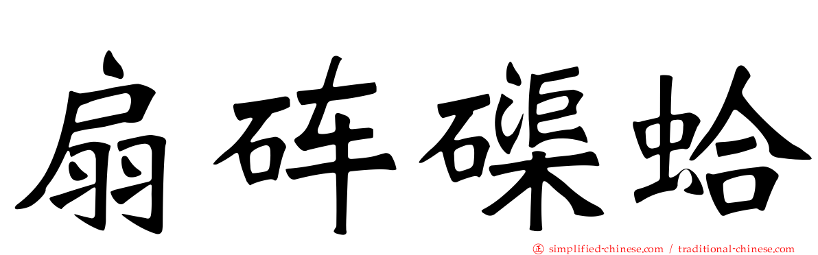 扇砗磲蛤