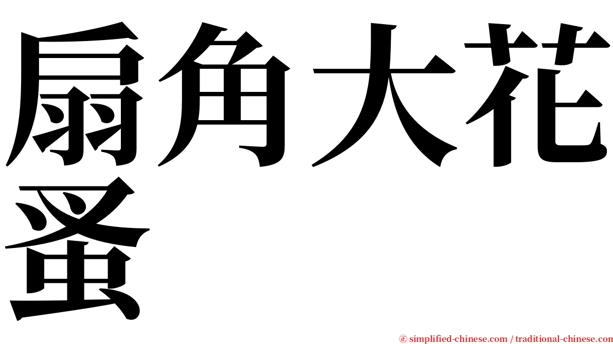 扇角大花蚤 serif font