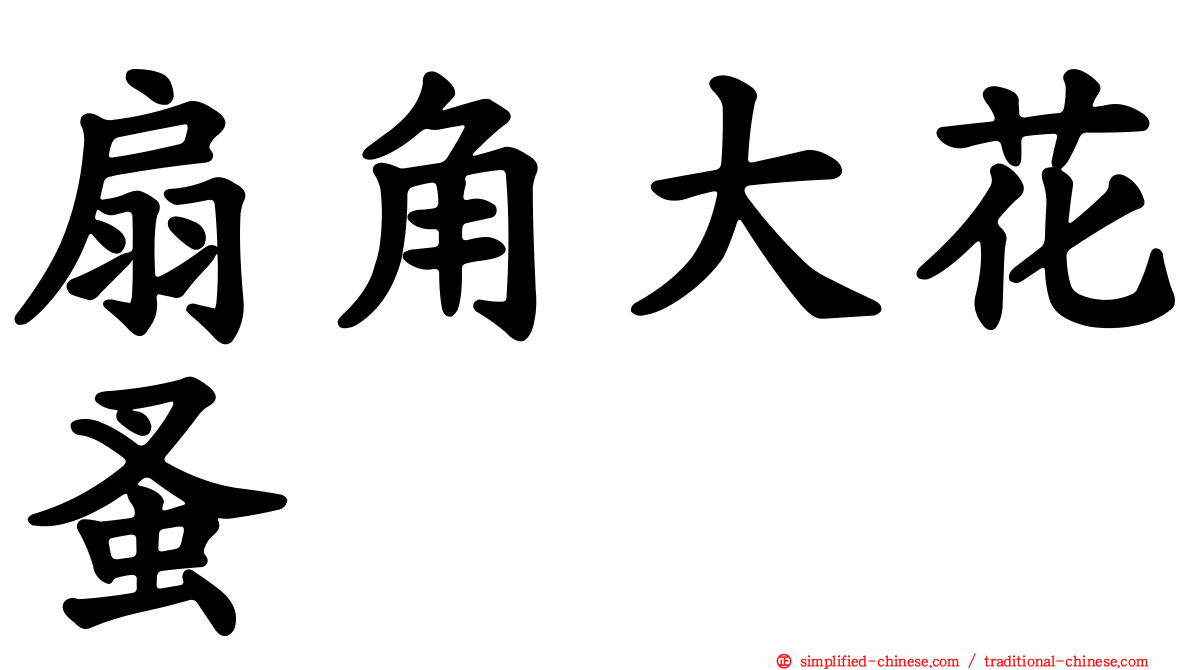扇角大花蚤