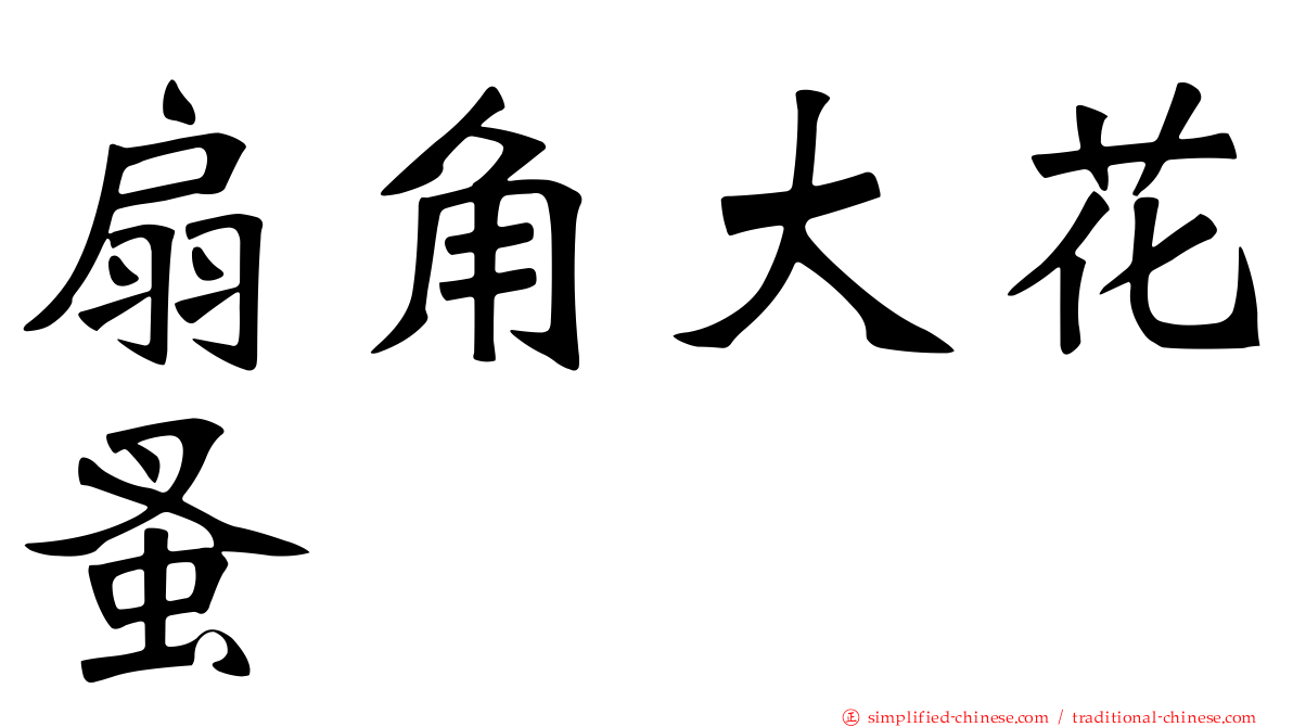 扇角大花蚤