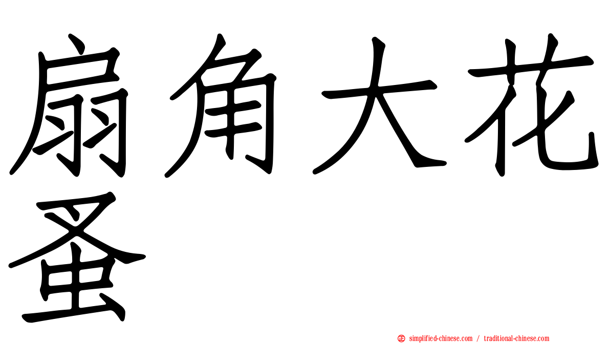 扇角大花蚤