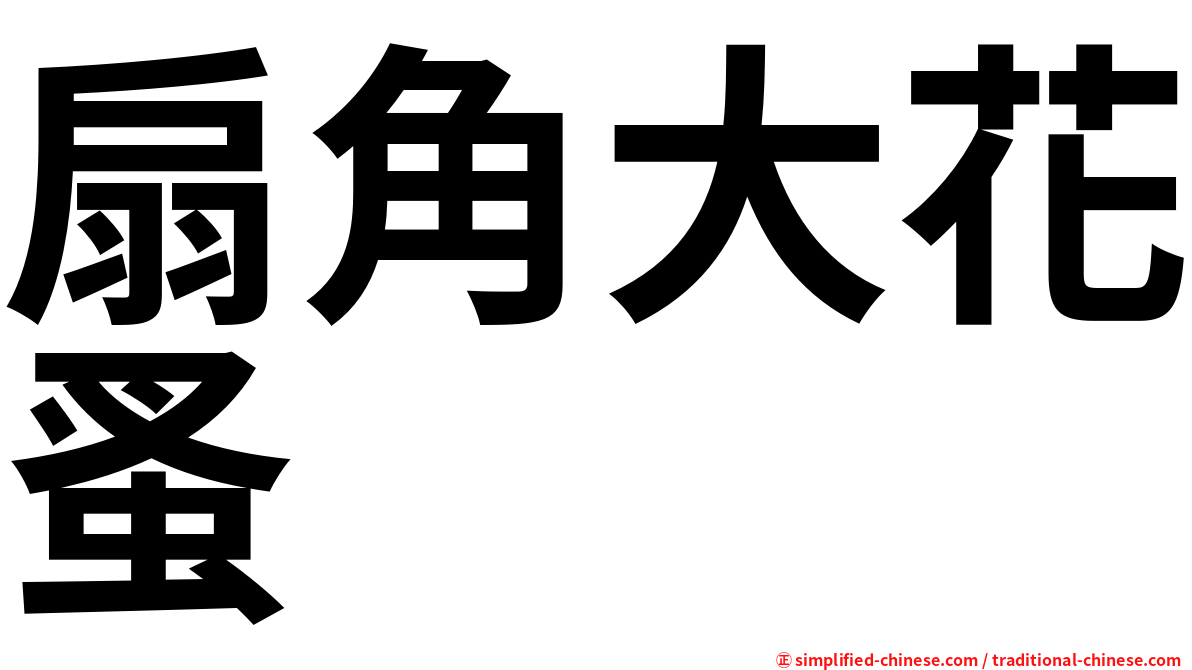 扇角大花蚤