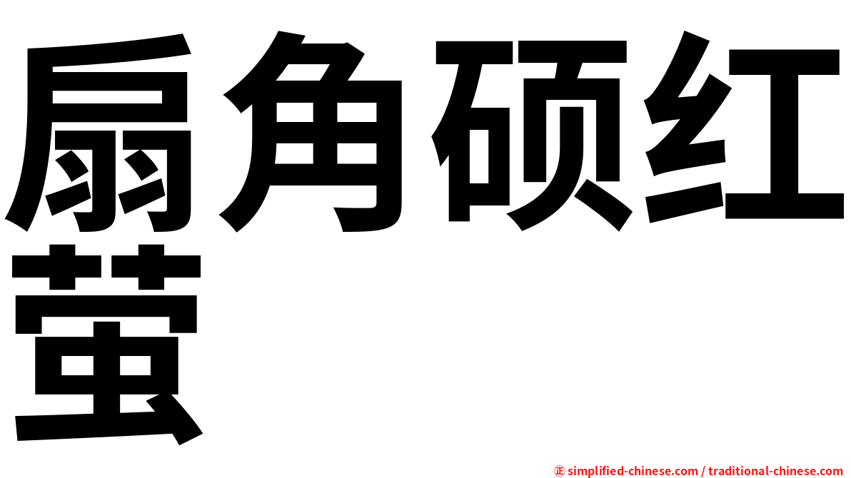 扇角硕红萤