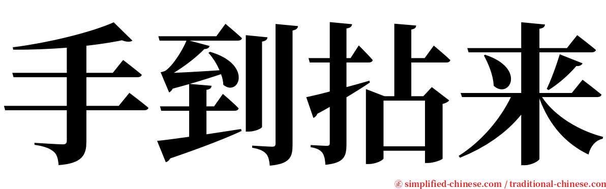 手到拈来 serif font