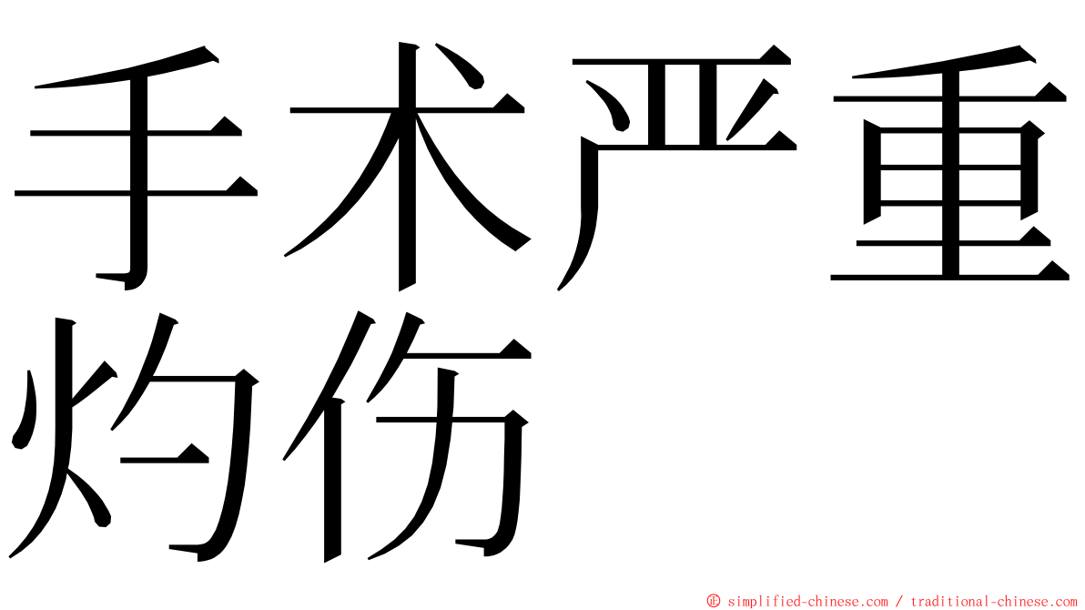 手术严重灼伤 ming font