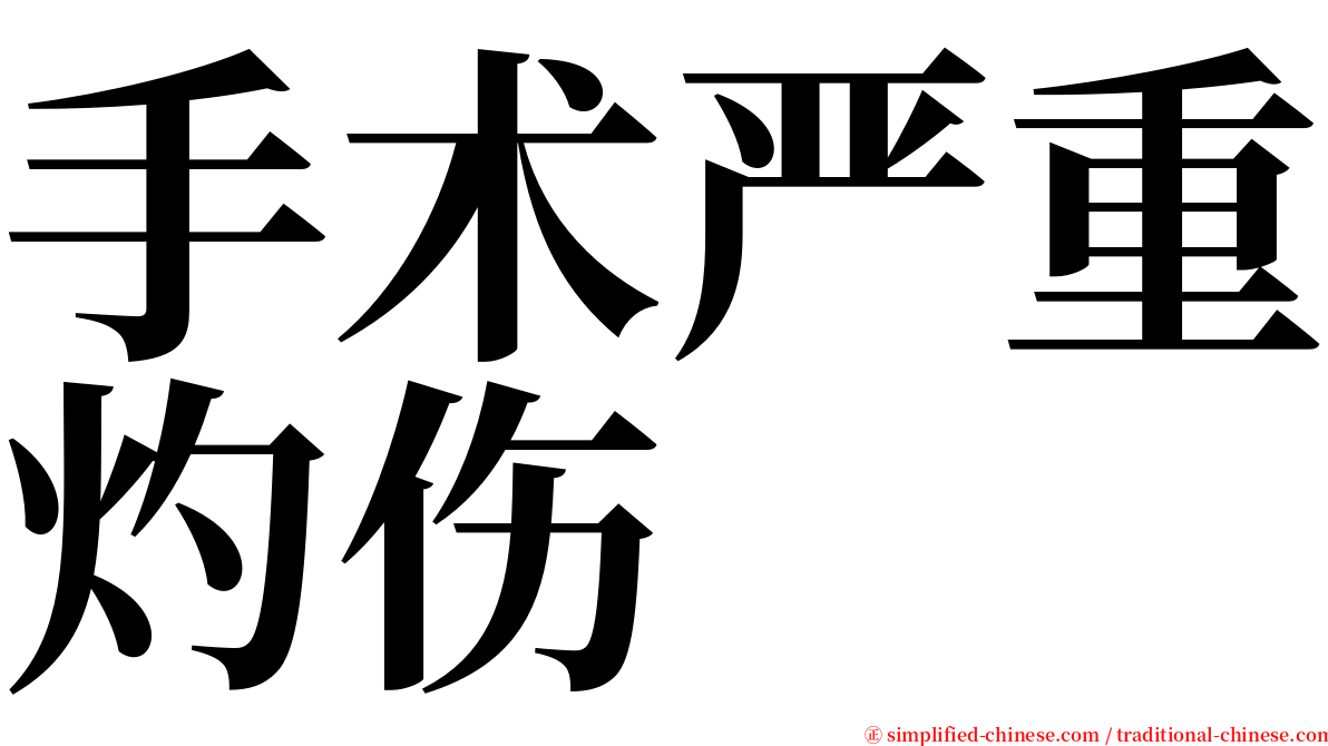 手术严重灼伤 serif font