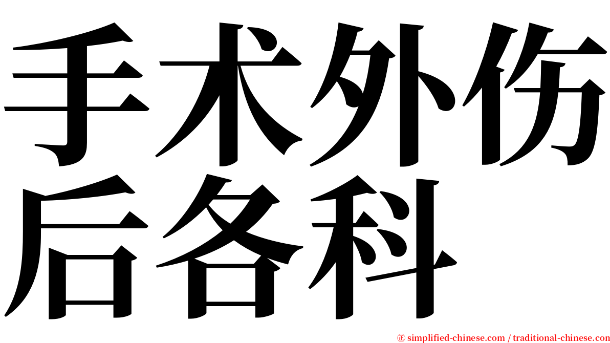手术外伤后各科 serif font