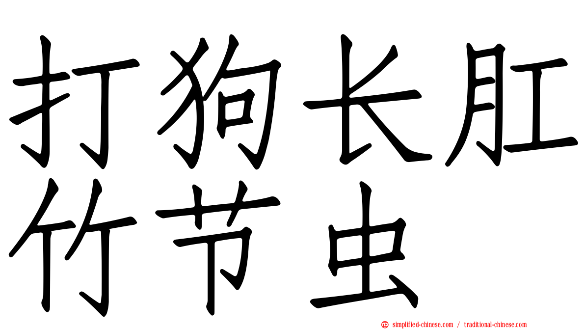 打狗长肛竹节虫