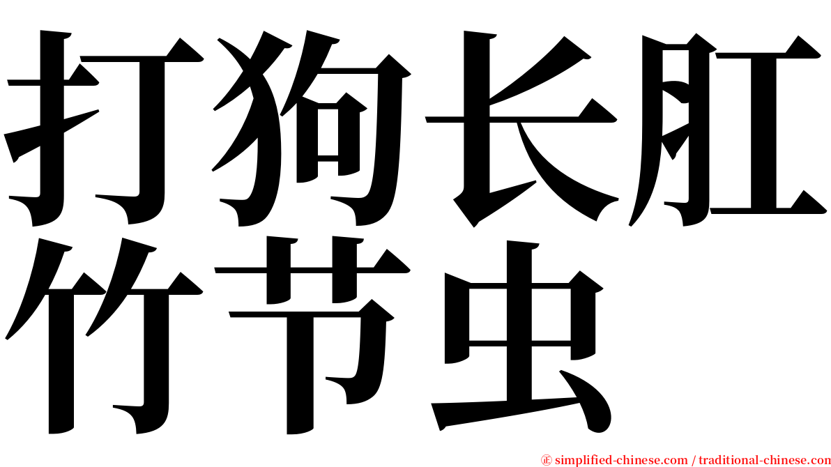 打狗长肛竹节虫 serif font