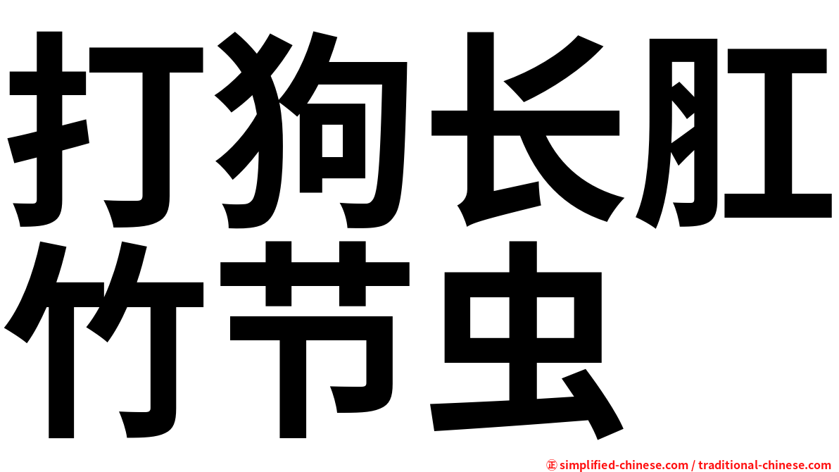 打狗长肛竹节虫
