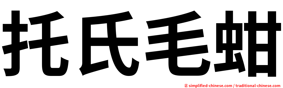 托氏毛蚶