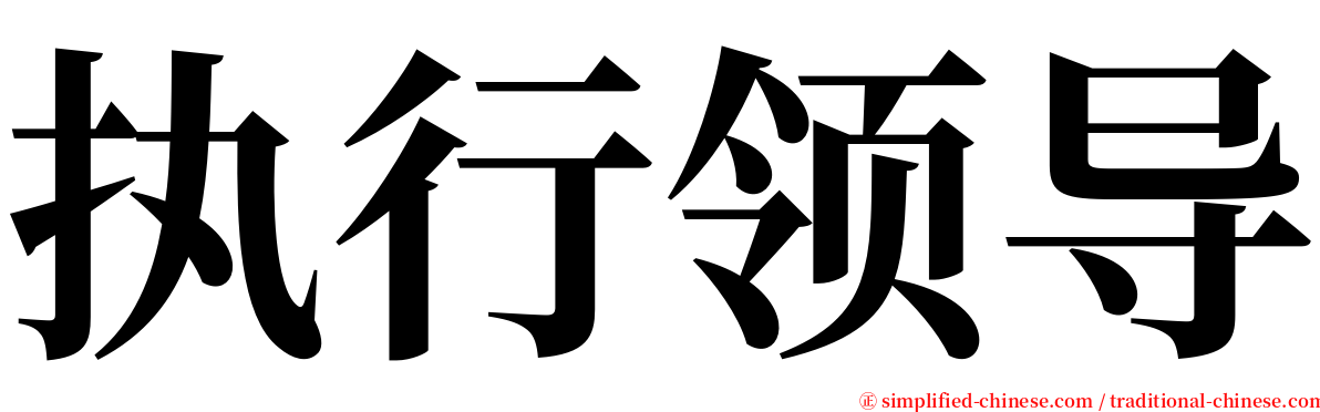 执行领导 serif font