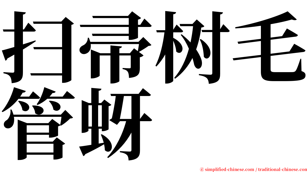 扫帚树毛管蚜 serif font