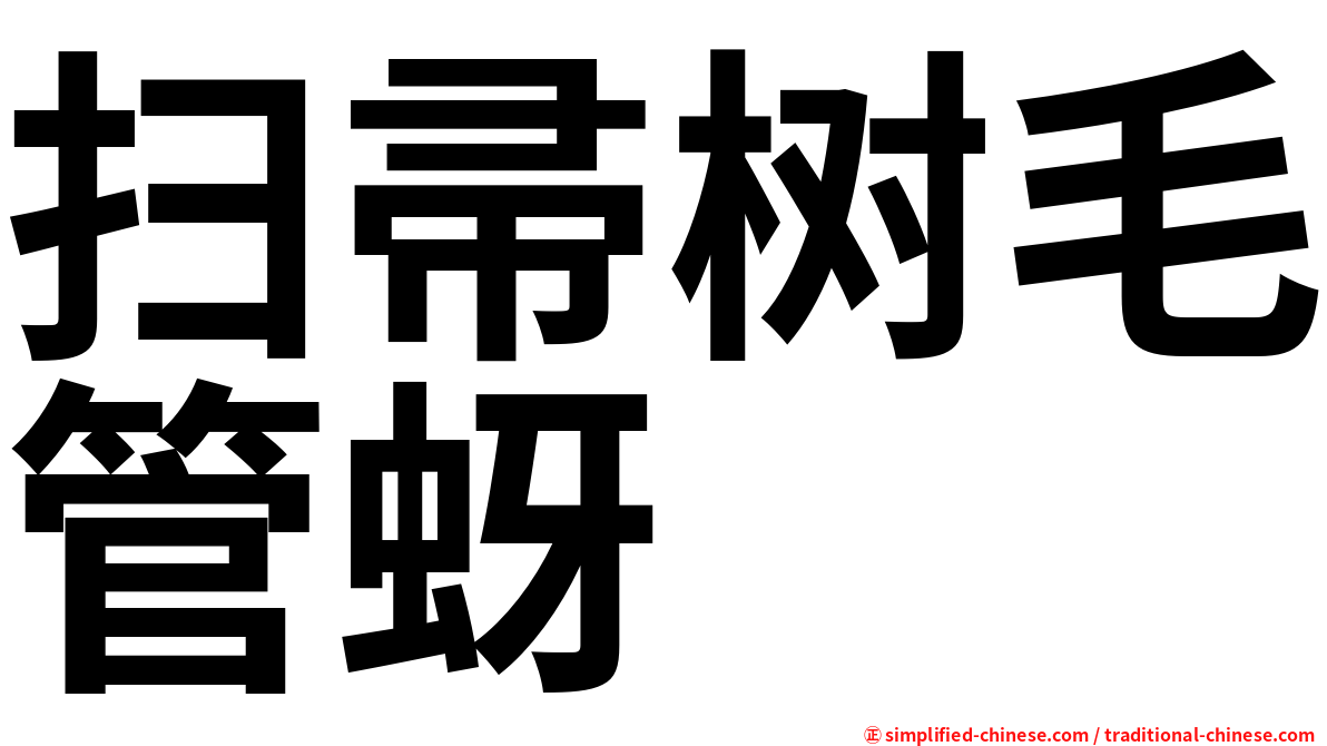 扫帚树毛管蚜