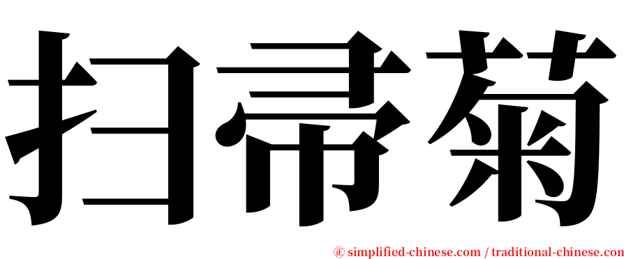 扫帚菊 serif font