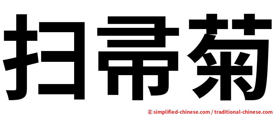 扫帚菊