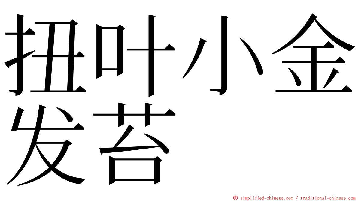 扭叶小金发苔 ming font