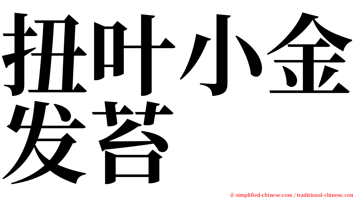 扭叶小金发苔 serif font