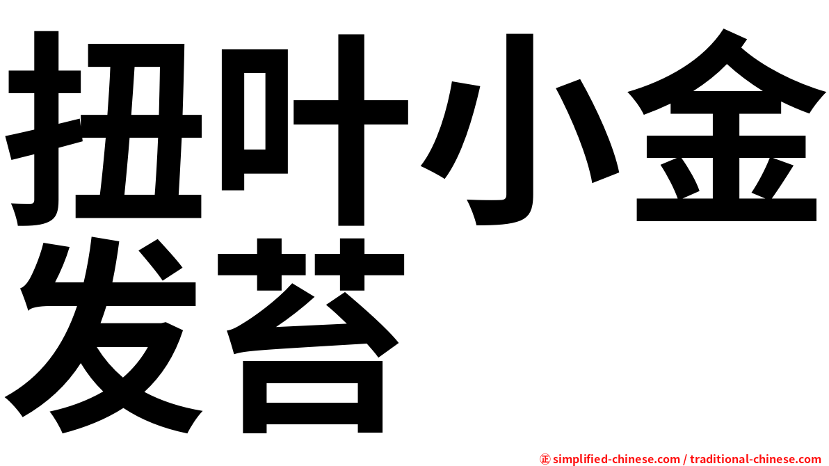 扭叶小金发苔