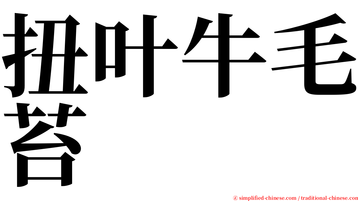 扭叶牛毛苔 serif font