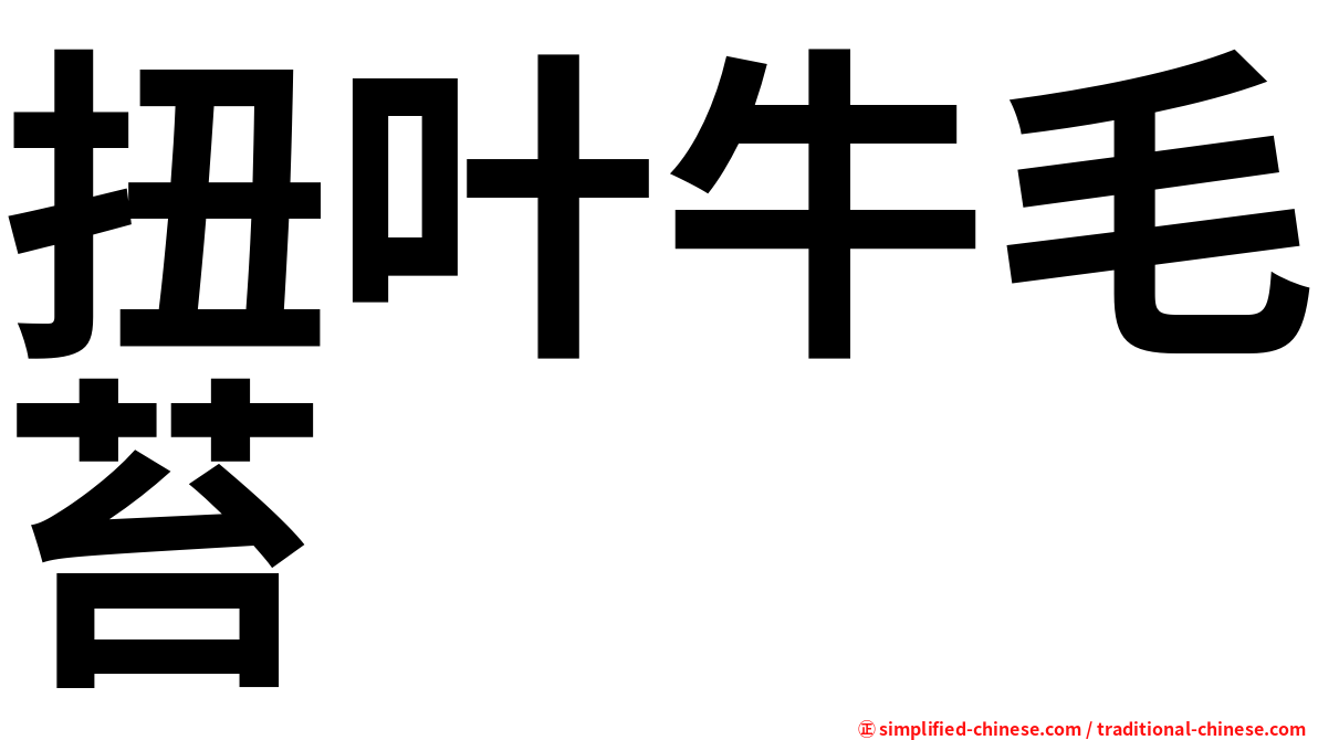 扭叶牛毛苔
