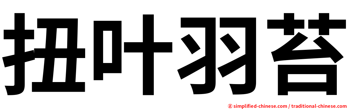 扭叶羽苔