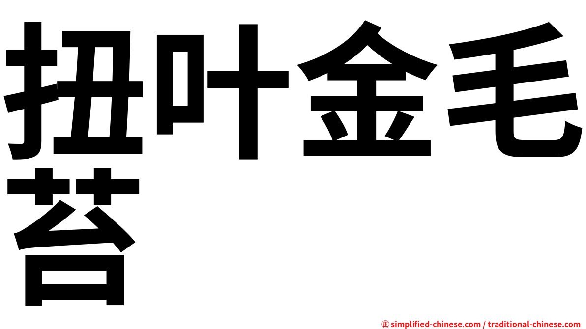 扭叶金毛苔
