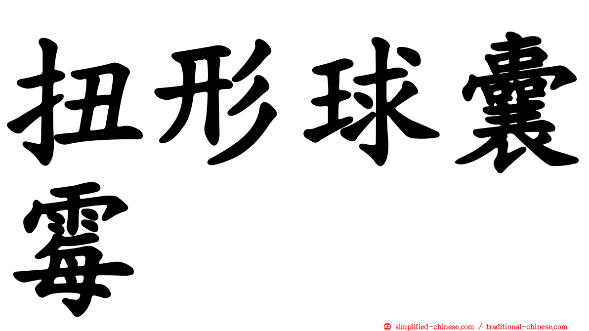 扭形球囊霉