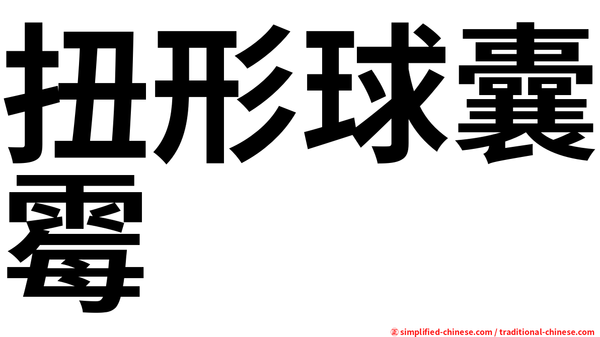 扭形球囊霉